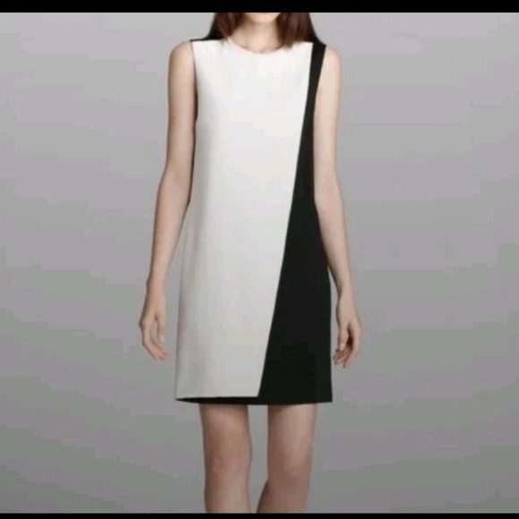 Theory Womens Silk Blend Color Block Sleeveless A-Line Layered Dress Size 4 - Picture 1 of 9
